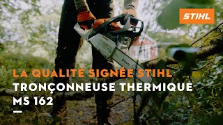 Quels sont les avantages de la tronçonneuse thermique STIHL MS 162 [upl. by Onateyac638]