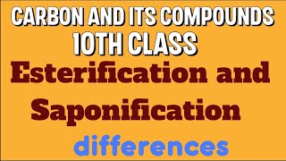 DIFFERENCES BETWEEN ESTERIFICATION AND SAPONIFICATION 10TH CLASS CARBON AND ITS COMPOUNDS [upl. by Nylavad540]