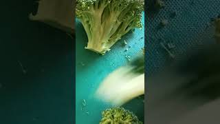 Chopping Broccoli asmrshortvideoshort youtubeyoutubeshorts [upl. by Magnus]