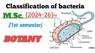 Classification Of Bacteria  Microbiology MSc First Semester VBSPU Biolife🔥 [upl. by Nodyarb]