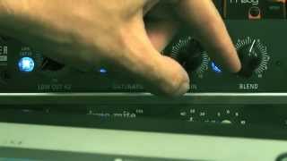 Adding Sub Bass W Overstayer Saturator x SP1200 [upl. by Milli605]