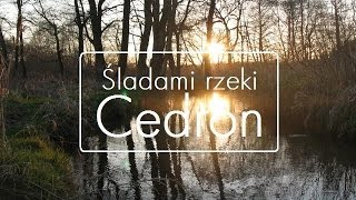 Śladami rzeki Cedron  cała rzeka  Wejherowo [upl. by Sordnaxela]