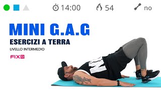 Esercizi Per Gambe Addominali e Glutei Allenamento Veloce GAG [upl. by Aronaele943]