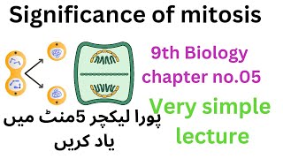 significance of mitosis  9th class biology  9thclass [upl. by Aloeda]