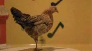 gallina dance xD [upl. by Ardnama]