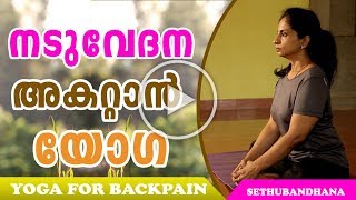 Yoga For Back Pain in Malayalam  Sethubandhasanam  യോഗ  Tara  Ethnic Health Court [upl. by Schiffman254]