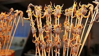 Chinese Street Food  Live Scorpions Insects Tiger Claws China [upl. by Lougheed]