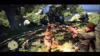 Dragons Dogma Expert Walkthrough 2  Completing Quests and Looting [upl. by Ranit535]