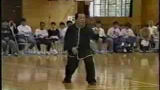 Xing Yi Quan demonstration by Feng zheng Bao [upl. by Loggins]