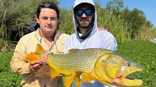 GRACIAS RIO JURAMENTO QUERIDO pescando dorados en balsa [upl. by Oliviero]