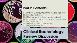 Summarized Review Discussion 02  Microbiology 1  CLINICAL BACTERIOLOGY pt2 [upl. by Angus]