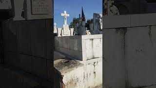 cementerio municipal de Tonalá jalisco [upl. by Nareht]