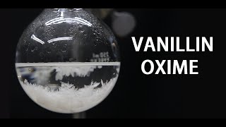 Making Vanillin Oxime Capsaicin precursor [upl. by Johnsson392]