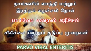 நாய்களில் இரத்தக் கழிச்சல் சிகிச்சை  தடுப்பூசி  PARVO VIRAL ENTERITIS TREATMENT  VACCINATION [upl. by Stinky165]