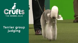 Group Judging Terrier and Presentation  Crufts 2023 [upl. by Avictor207]