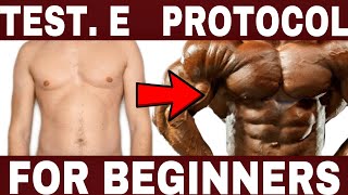 Testosterone Enanthate Cycle For Beginners  Lenght  Syringe  Frequency  w Dr Tony Huge [upl. by Woodring]