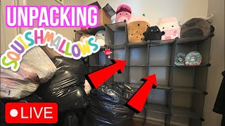 🔴LIVE Setting Up Our SQUISHMALLOWS  Organizing our Squishmallow Collection [upl. by Peonir]