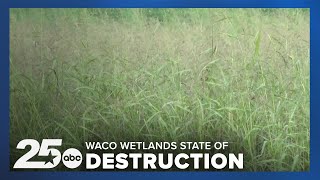 Lake Waco Wetlands in state of destruction as the area celebrates its 20th anniversary [upl. by Glennie]