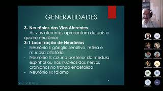 GRANDES VIAS AFERENTES FIsioterapia 2P [upl. by Devol]