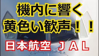 【珍しい！】JAL機長のアナウンスで機内に黄色い歓声が響き渡った！ 日本航空 [upl. by Ydollem]