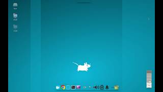 DEBIAN with XFCE Customization suite ദ്ദി˵ •̀ ᴗ  ˵  ✧ [upl. by Esilec331]