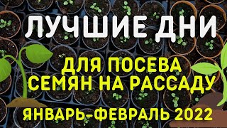 ЛУННЫЙ ПОСЕВНОЙ КАЛЕНДАРЬ январьфевраль 2022 Когда сеять на рассаду  лучшие дни [upl. by Haimaj330]