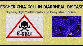 Escherichia coli E coli in Diarrheal Disease Types High Yield Points amp Mnemonics [upl. by Tsenrae]