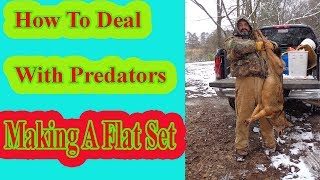 How To Deal With Predators Making A Flat Set [upl. by Arbba619]