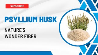 Psyllium Husk  Natures Wonder Fiber  Unlocking the Health Benefits  Health n Herbals [upl. by Bonnes]