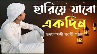 হারিয়ে যাব একদিন আমি  Hariye Jabo Ekdin Ami singer Sabbir  IMRAN MAHMUD 02 [upl. by Jerome]