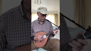 Morpeth Rant William Shield  Mandolin [upl. by Camilo]