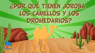 ¿POR QUÉ TIENEN JOROBA LOS CAMELLOS Y LOS DROMEDARIOS  CURIOSIDADES FASCINANTES PARA NIÑOS [upl. by Dusty576]