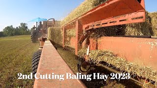 Baling Hay with the Hoelscher 1000 Accumulator [upl. by Mariand]