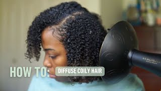 How to Diffuse Coily Hair  Stretch Diffusing  Curlsmith [upl. by Ailedua]