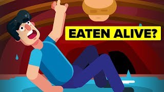 Horrific Ways People Have Been Eaten Alive [upl. by Atikan513]