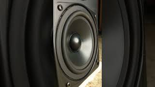 Sunbuck av298bt  Woofer test [upl. by Yclehc]