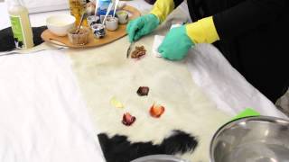 How to Clean a Cowhide Rug 2024  Cowhide Cleaner Demo by Gorgeous Creatures [upl. by Elehcar582]