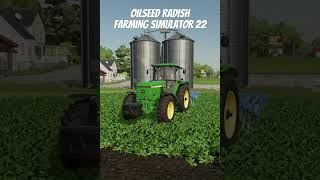 Oilseed radish  farmingsimulator22 fs22 shorts [upl. by Korfonta278]