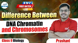 Difference Between DNA Chromatin and Chromosomes  Class 9 Biology  LIVE  InfinityLearn910 [upl. by Hannahsohs]