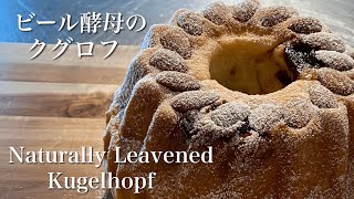 SUB ケーキの様なパン クグロフを自家製酵母で作る方法 クリスマスにも Easy Kugelhopf Naturally Leavened With Sweet Stiff Starter [upl. by Macmahon]