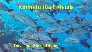 Reef Shoals on Embudu September 2023 [upl. by Etienne]