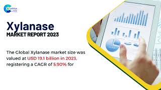 Xylanase Market Report 2023  Forecast Market Size amp Growth [upl. by Jovia]