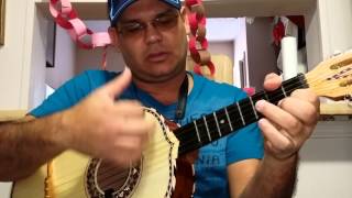 Serenata Huasteca vihuela tutorial [upl. by Seafowl]