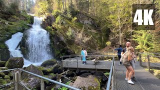 Ein Tag in Schwarzwald Black Forest Triberger Wasserfall  Top Reiseziele in Deutschland [upl. by Lorin816]