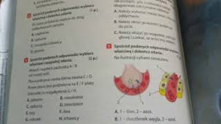 PULS ŻYCIA 7 KLASA  SPRAWDZIAN UKŁAD ODDECHOW [upl. by Zinn]