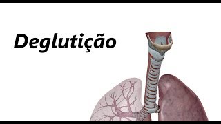 Deglutição em 3D [upl. by Sinnelg]