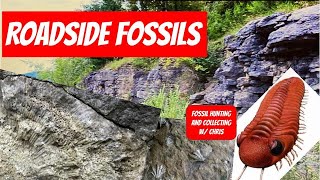 Roadside Fossils Fossil Hunting and Fossil Collecting with Chris Road Side Fossils Trilobites Coral [upl. by Reggis]