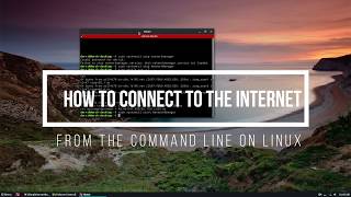 How To Connect To The Internet From The Command Line On Linux [upl. by Enileme]