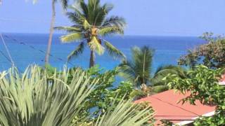 Charming Beach House on Kealakekua Bay Hawaii [upl. by Akeylah]