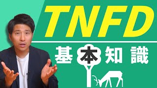 TNFDとは？TCFDとの違いも解説【初心者向け】 [upl. by Renick171]